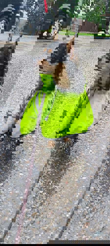1166842