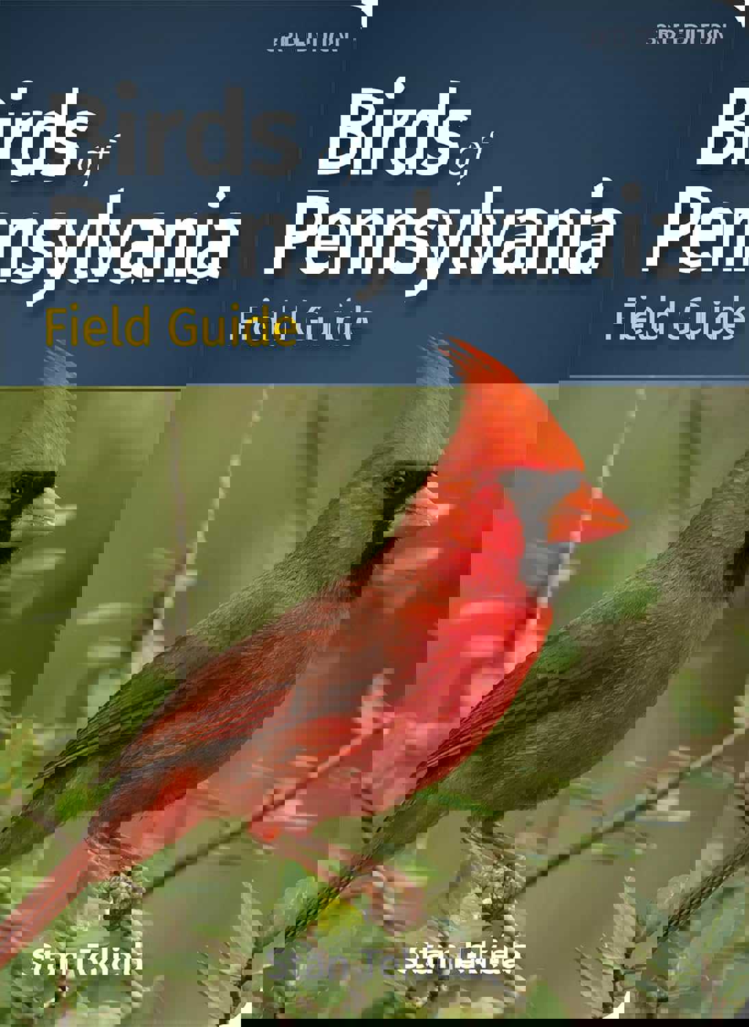 1169629