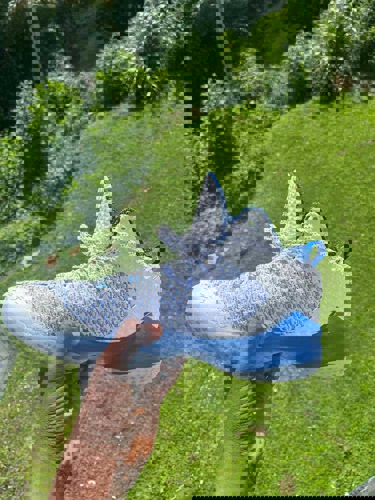 1174278