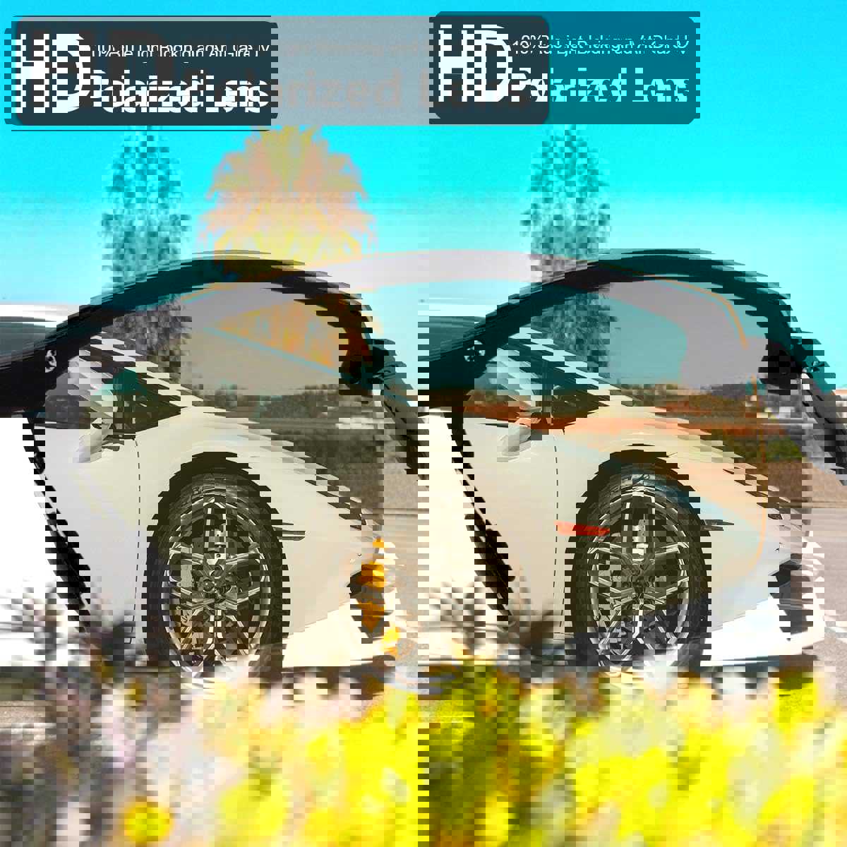 1167595