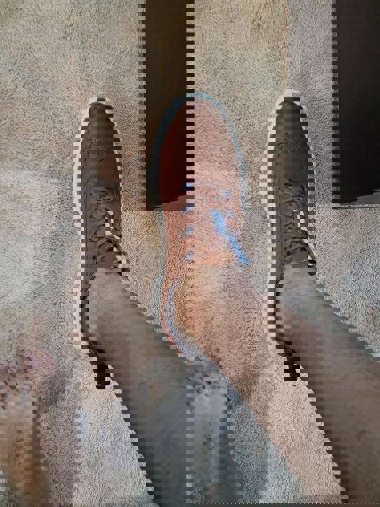 1163824