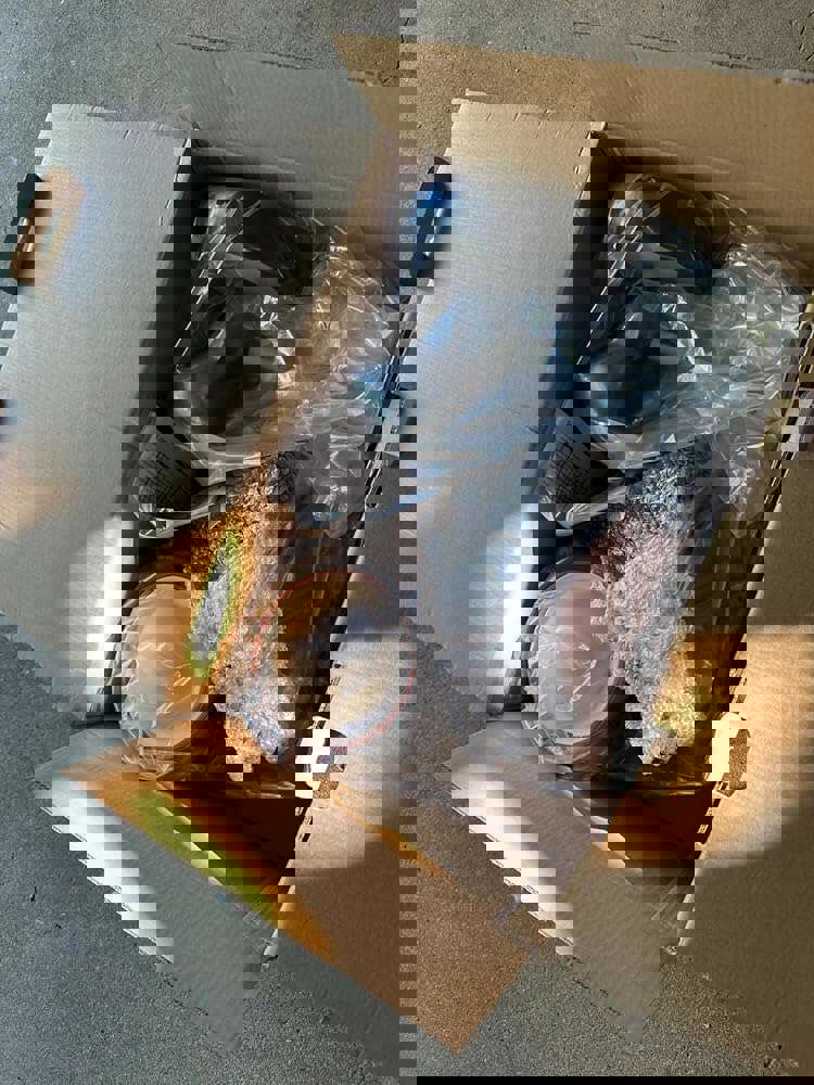 1169499