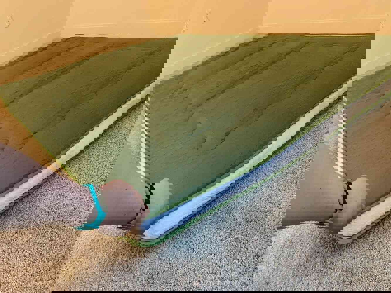 1164024