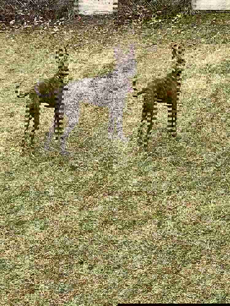 1163897
