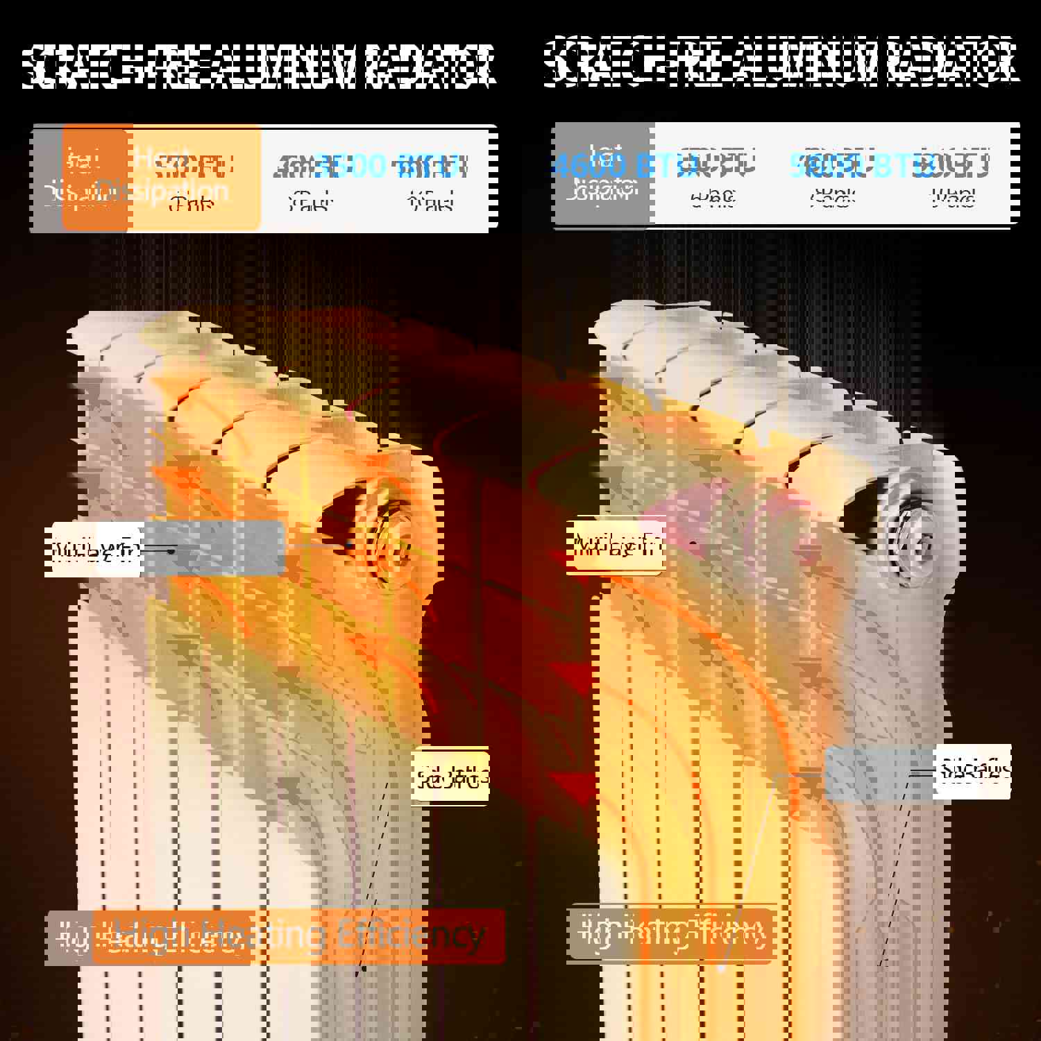 1169116