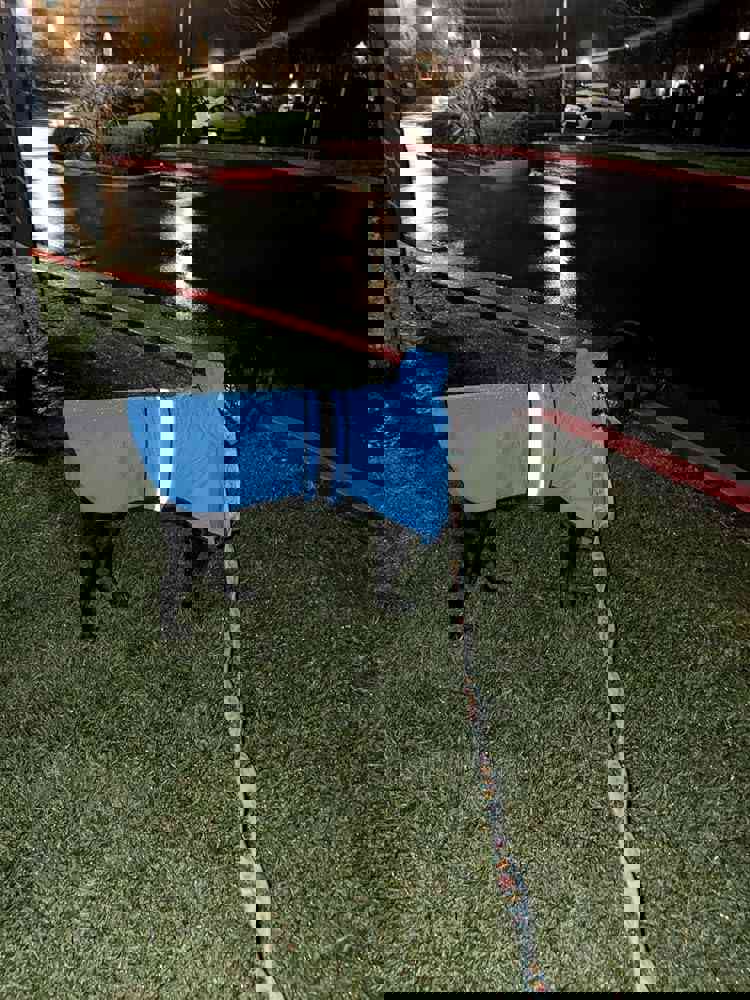 1166839