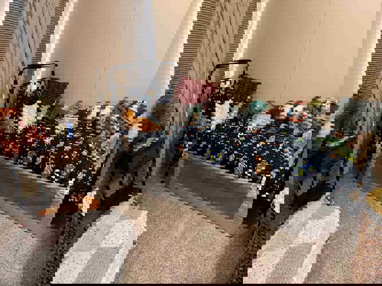 1168533