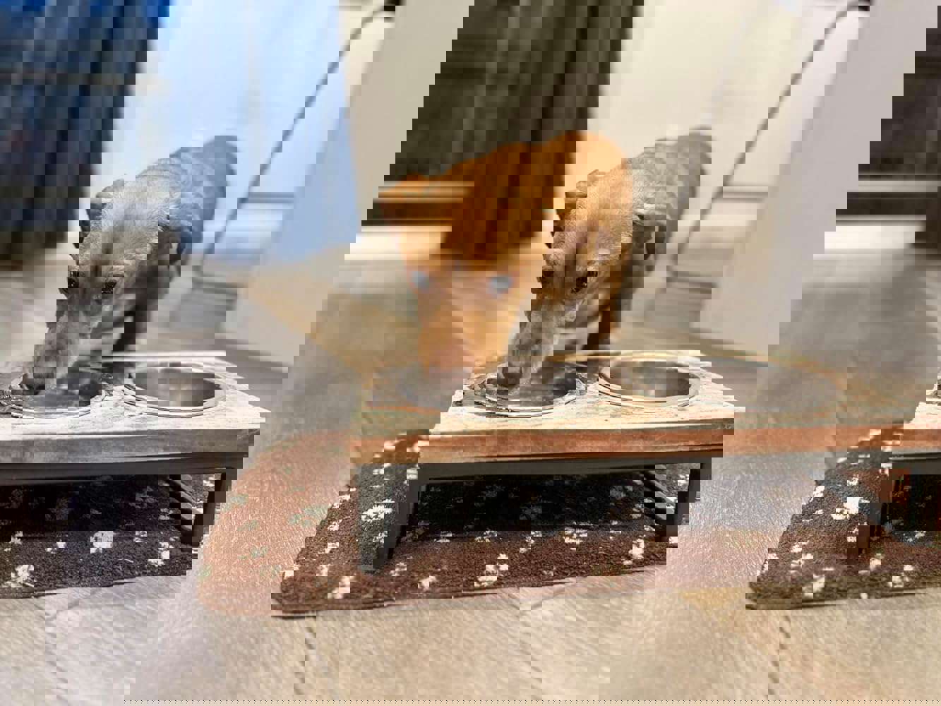 1163799