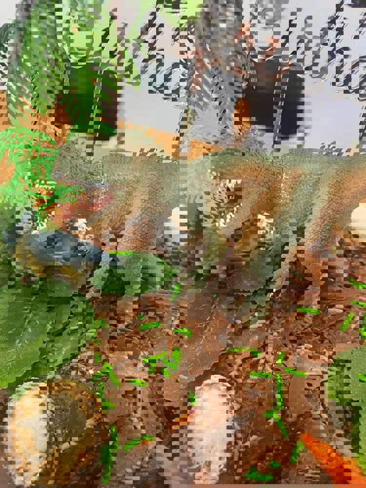 1168339