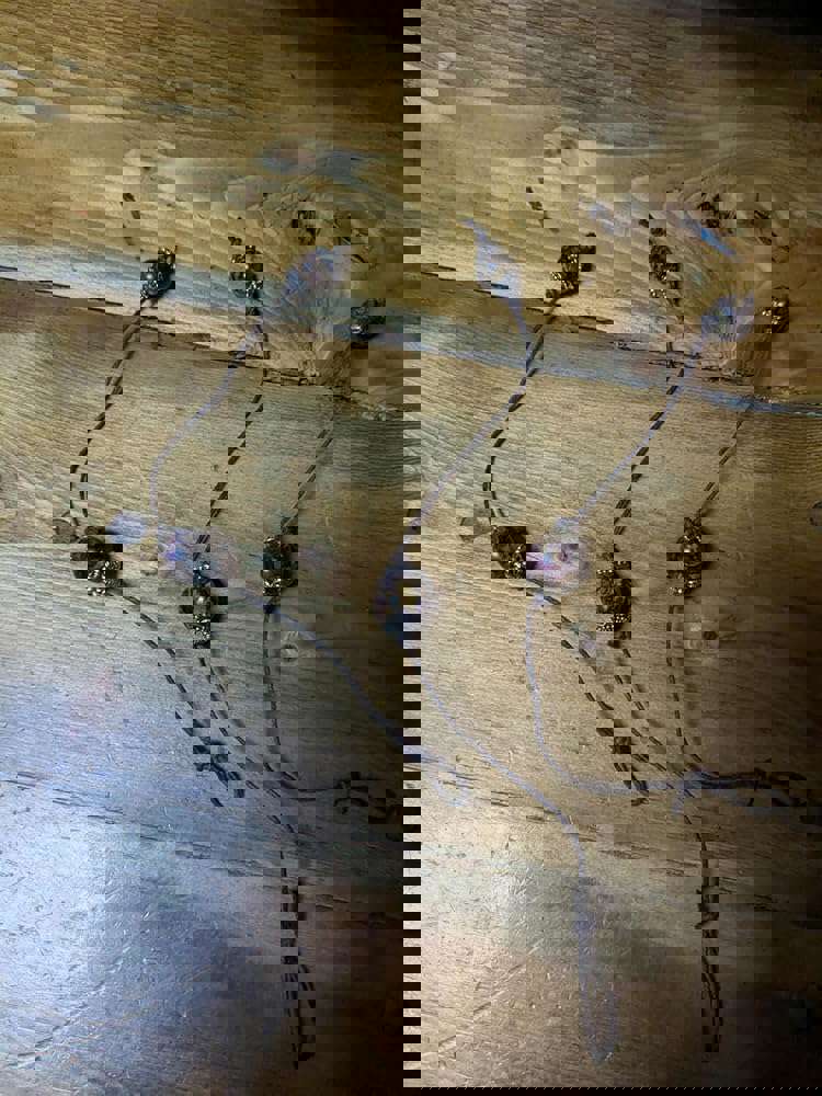 1166529