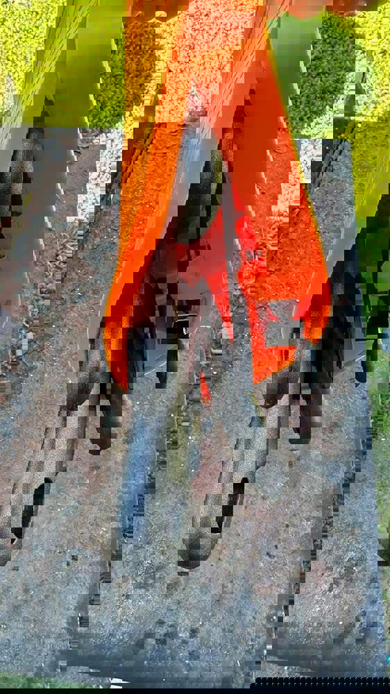 1167533