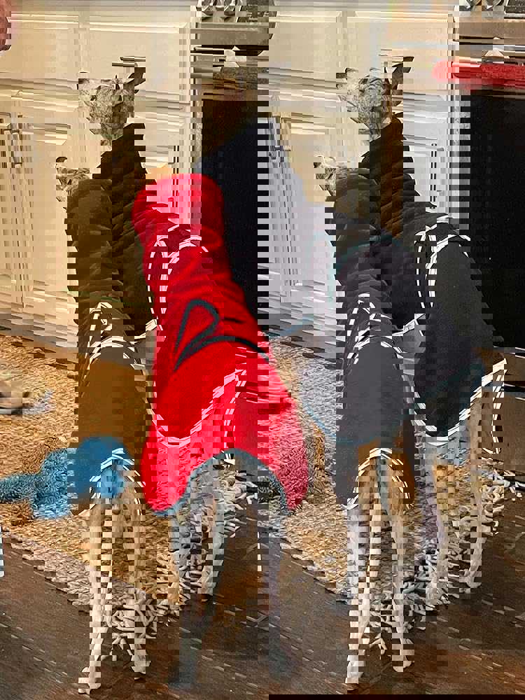 1163898