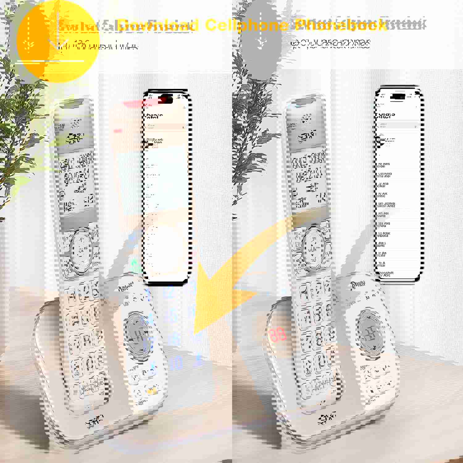 1162380