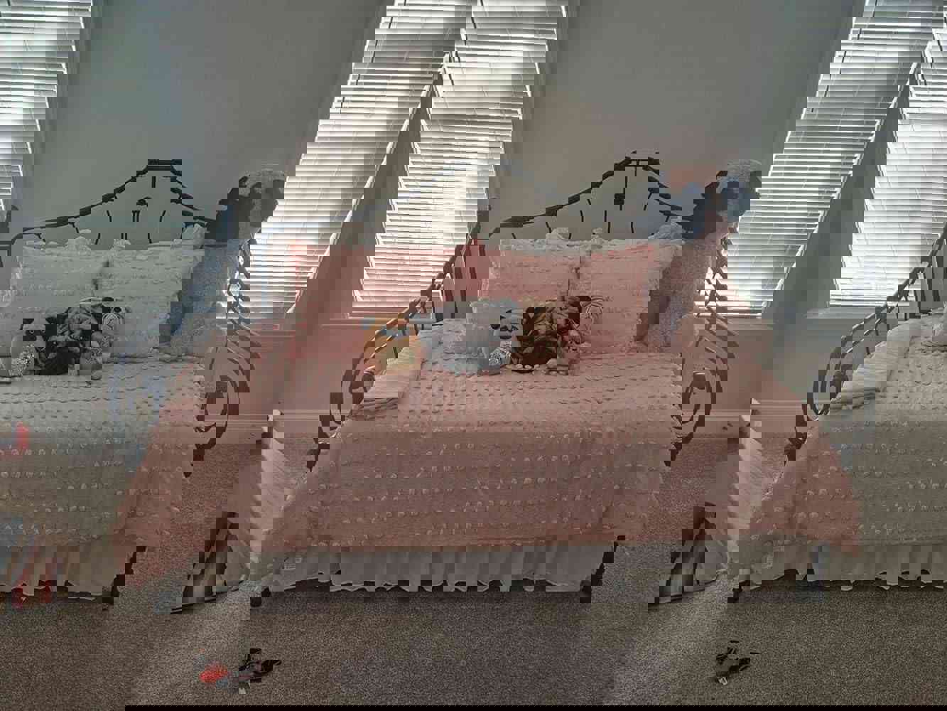 1164643