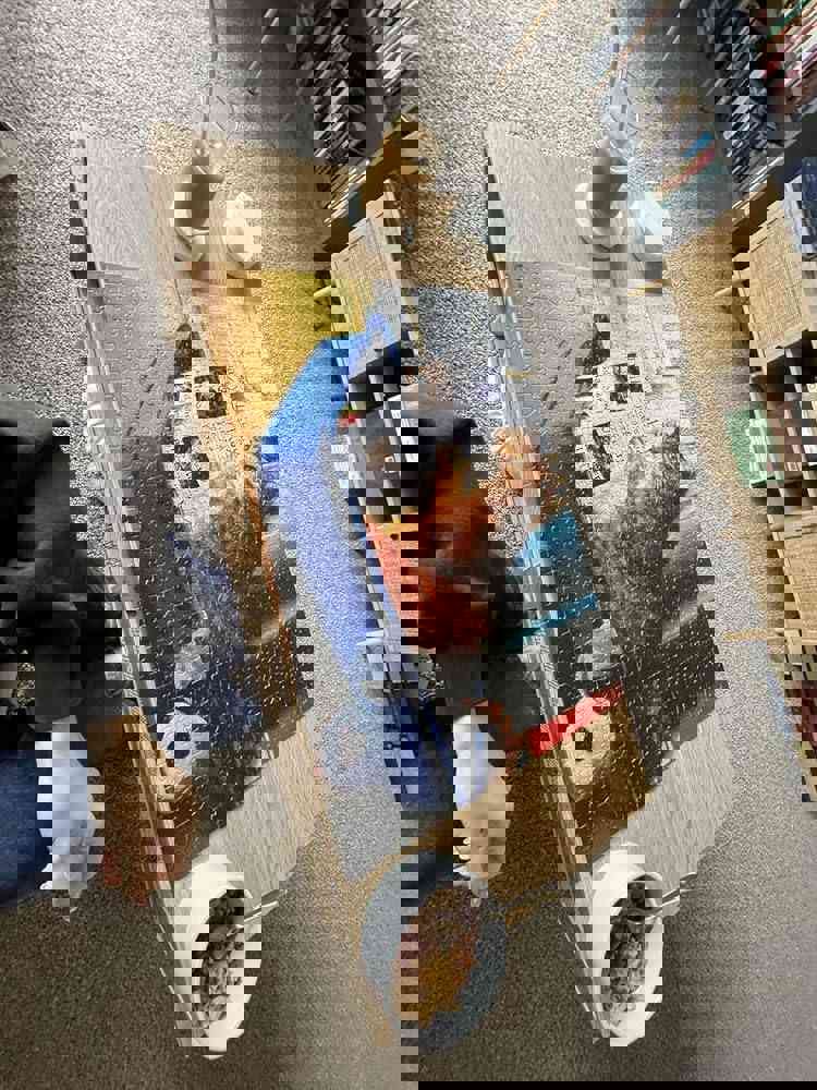 1163876