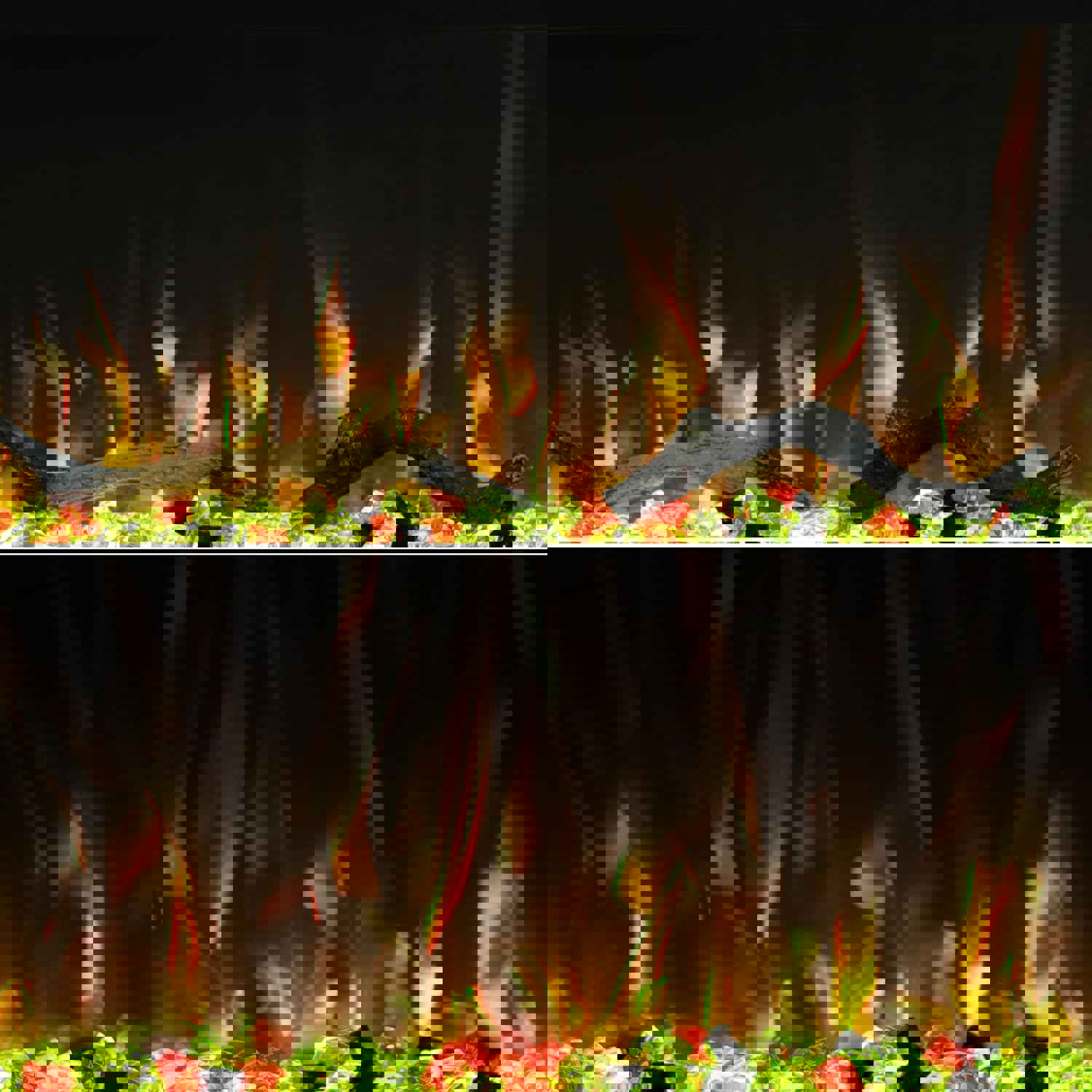 1164705