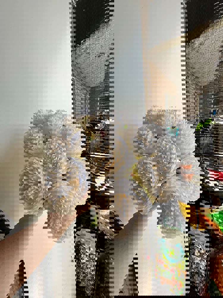 1166414