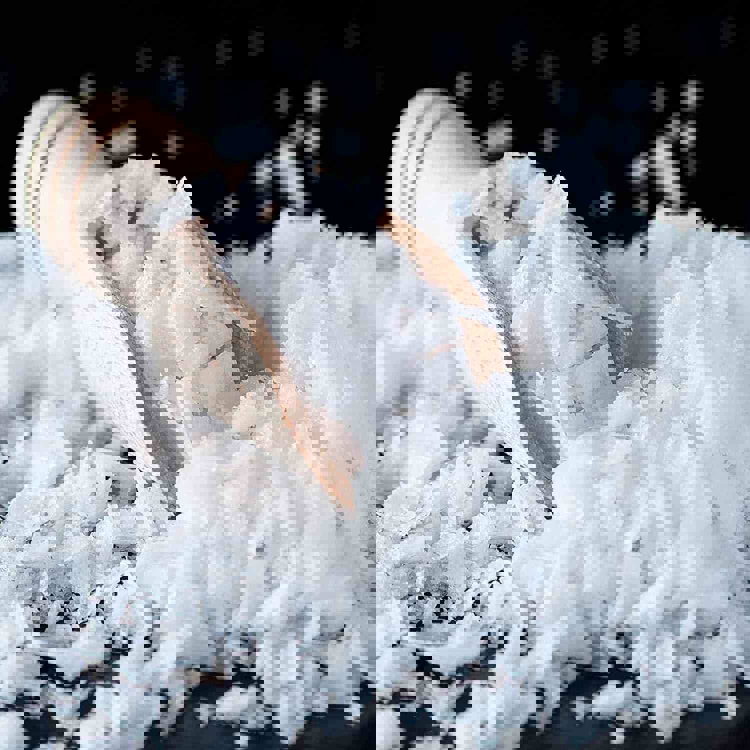 1162356