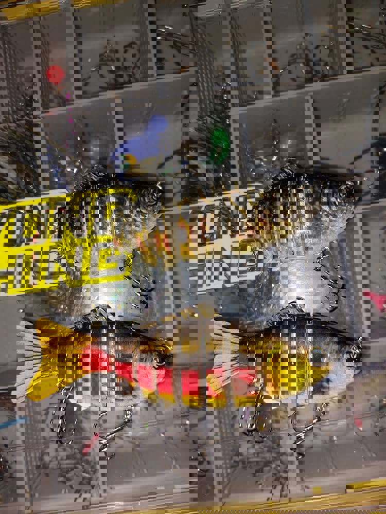 1167553