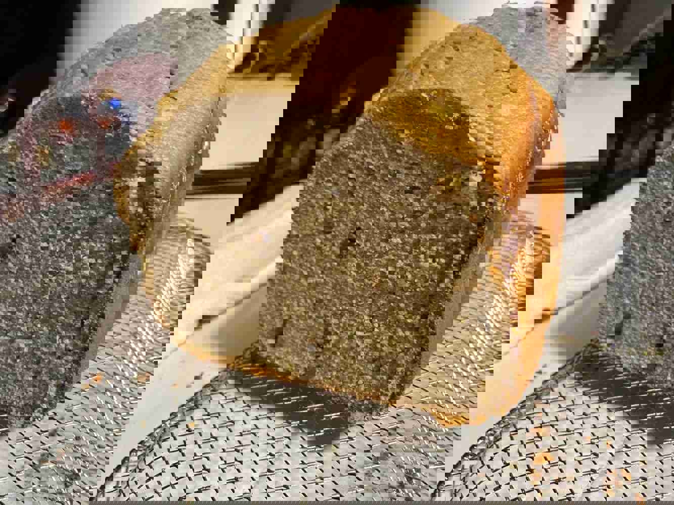 1169401