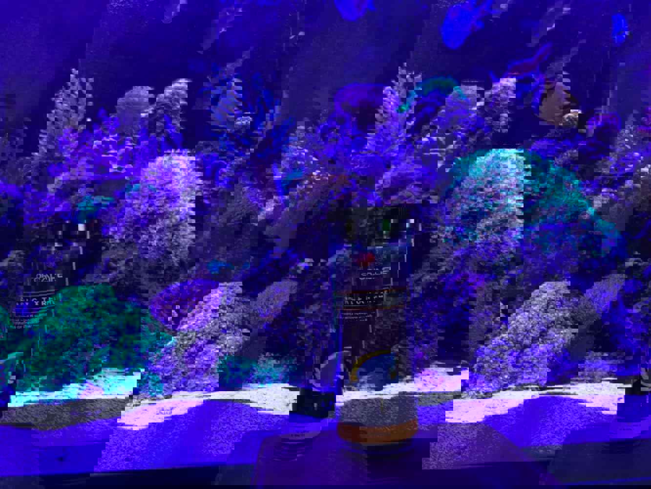 1167575