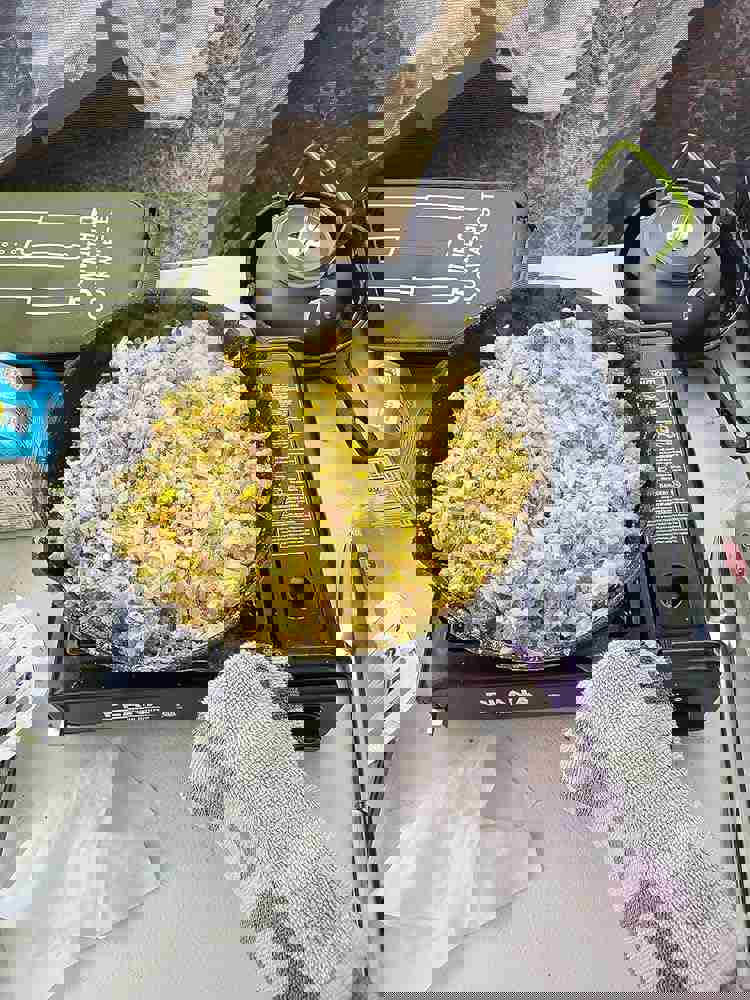 1186029