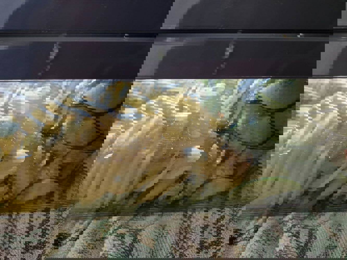 1193318