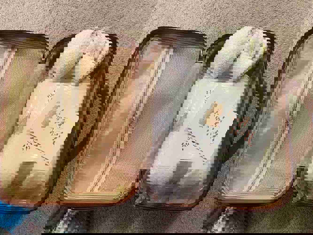 1186007