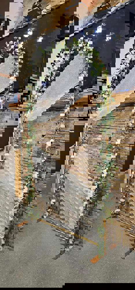 1186049