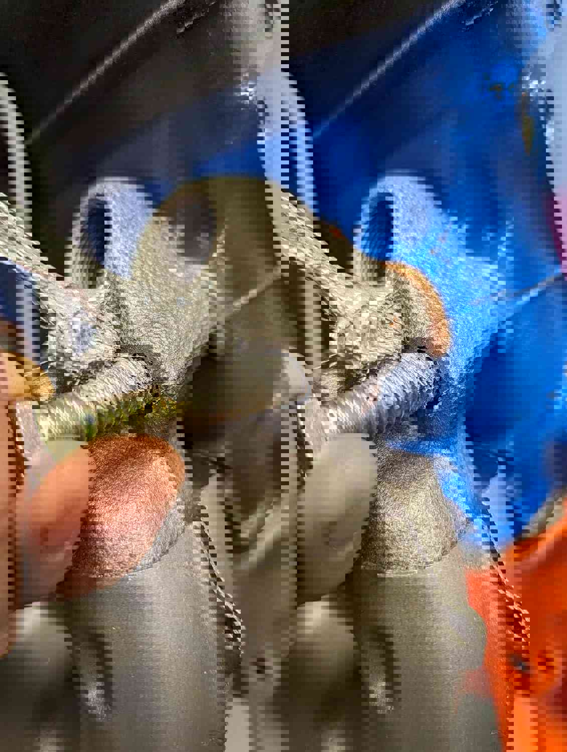 1186193