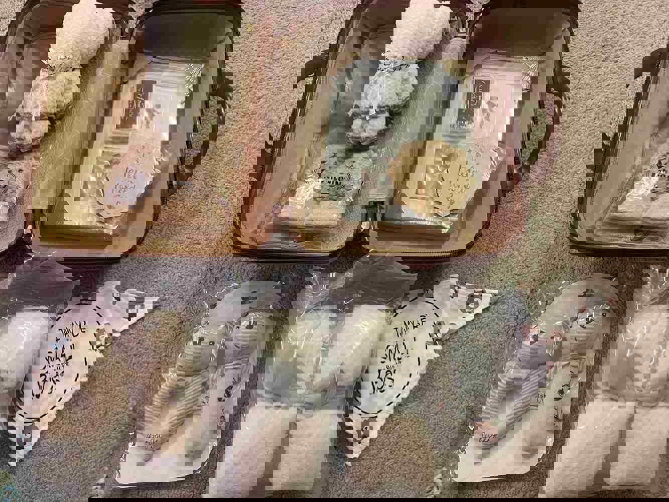 1186008