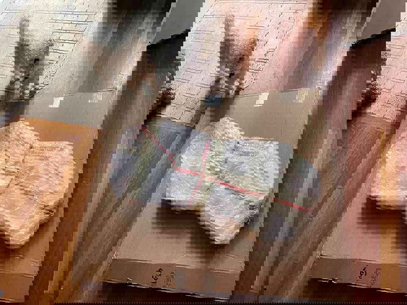 1186171