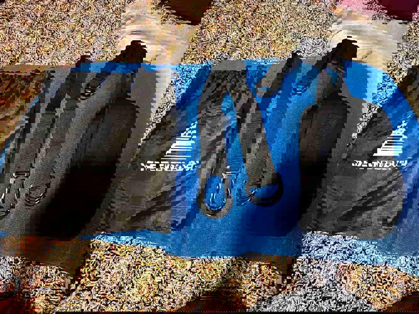 1184770