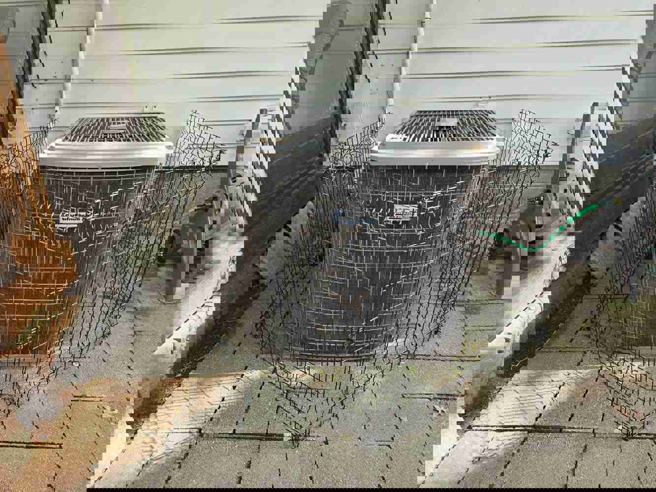 1191464
