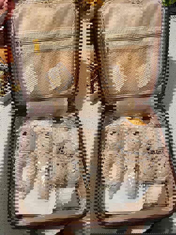 1186004