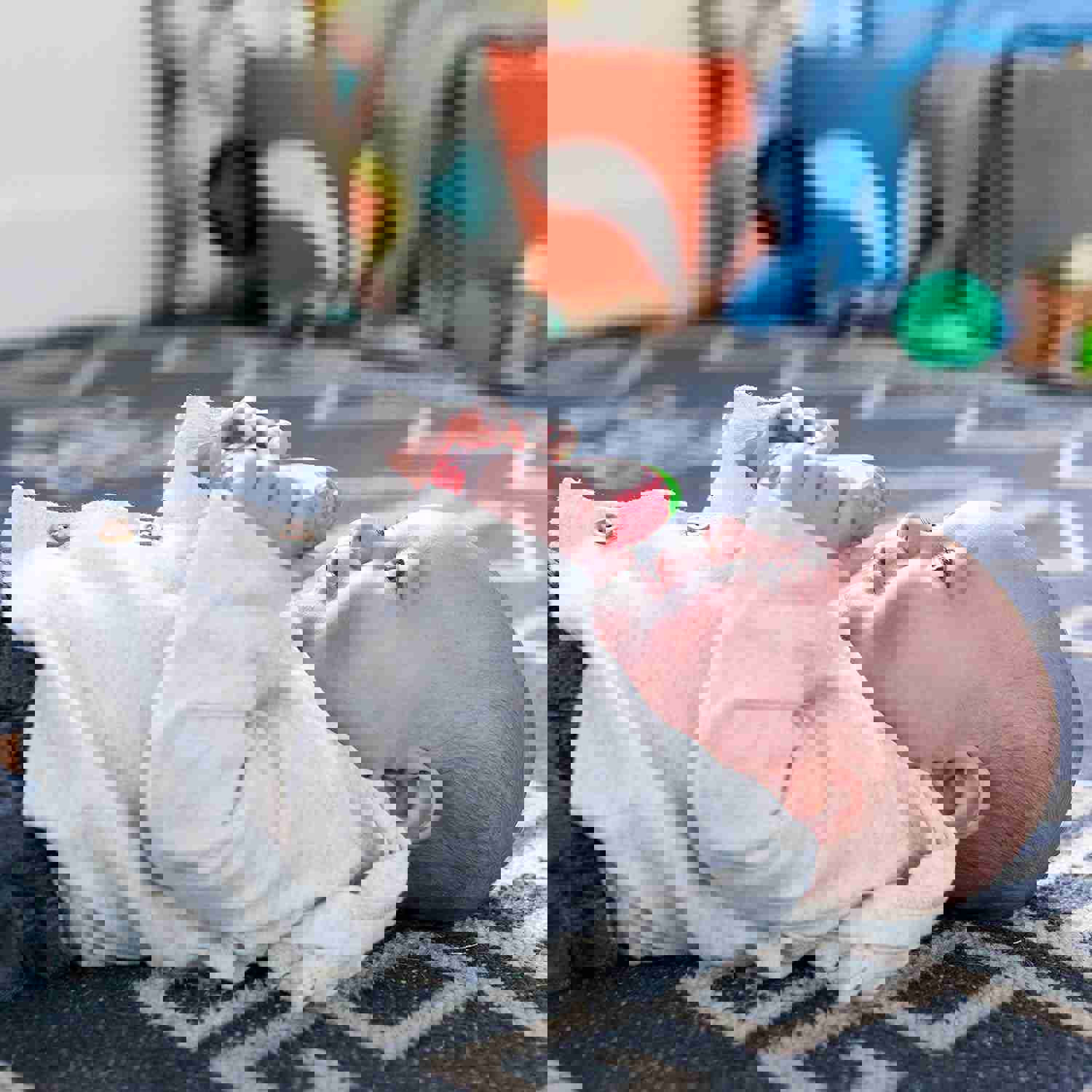 1202400
