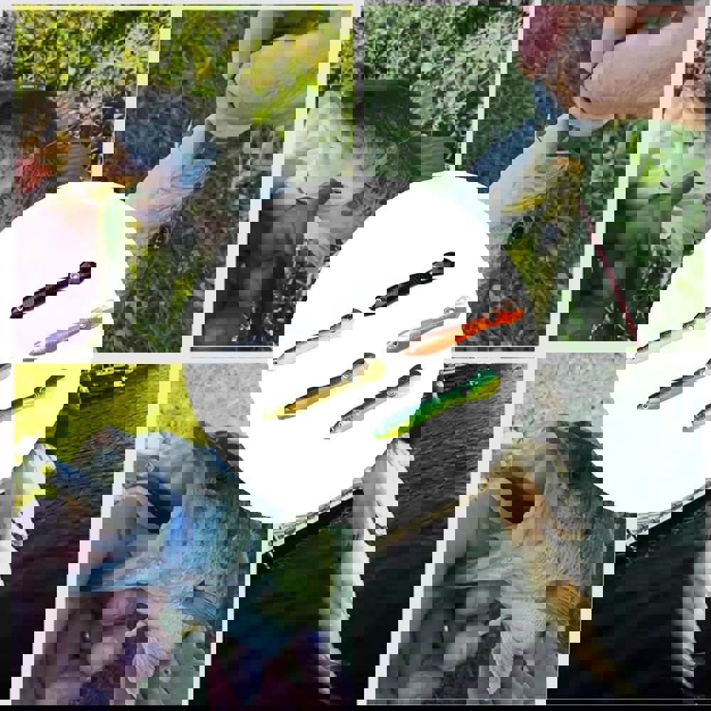 1211709