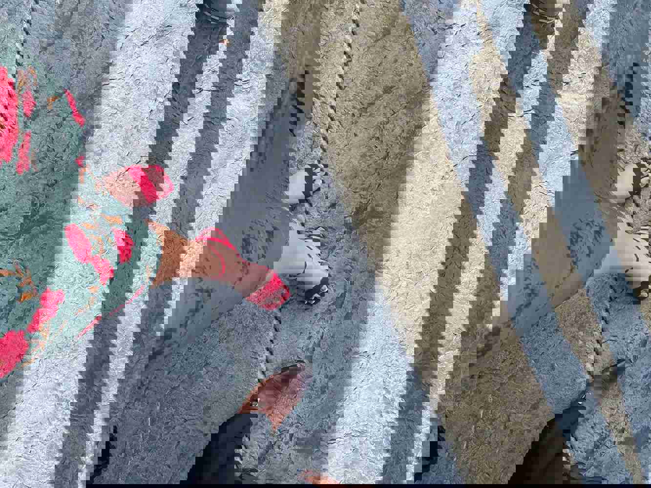 1247203