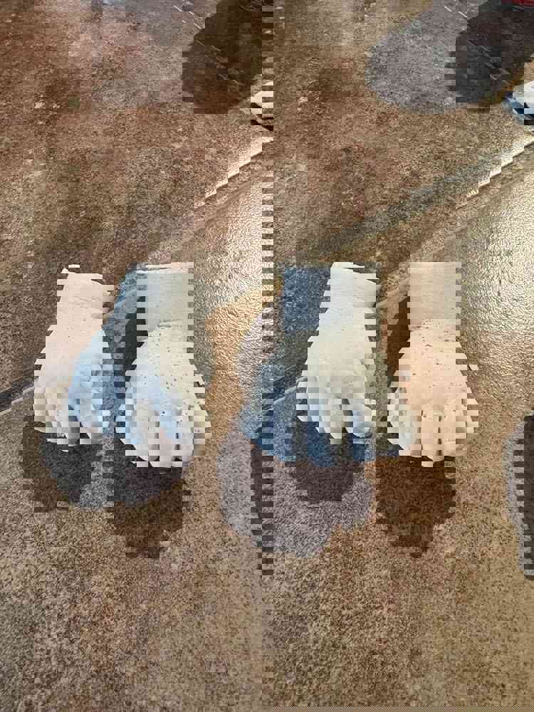 1267545
