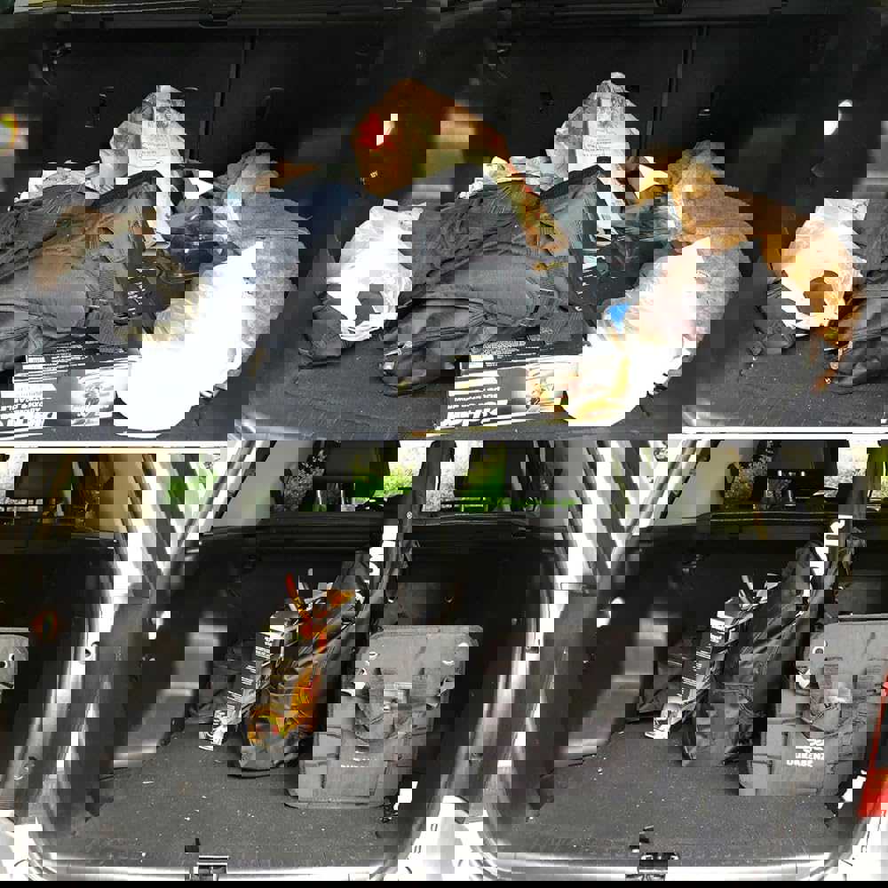 1259793