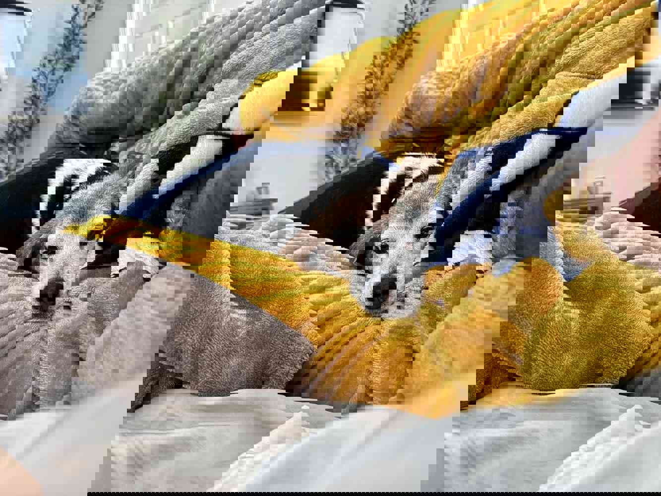 1267549