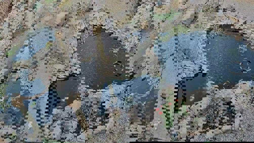 1259631