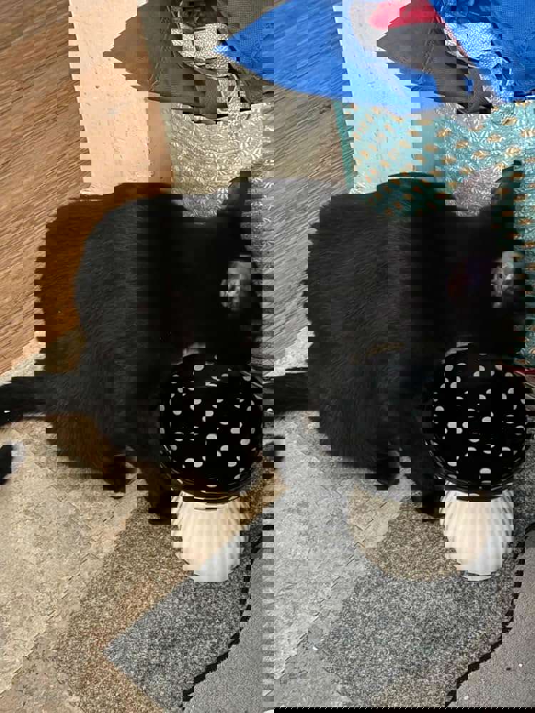 1265409