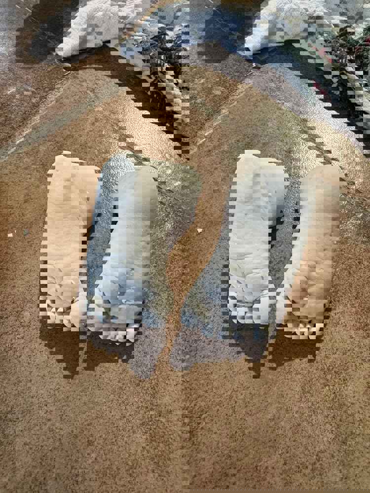 1267544