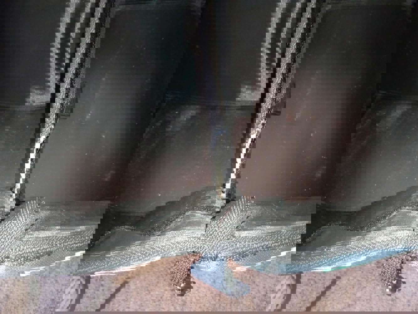 1259794