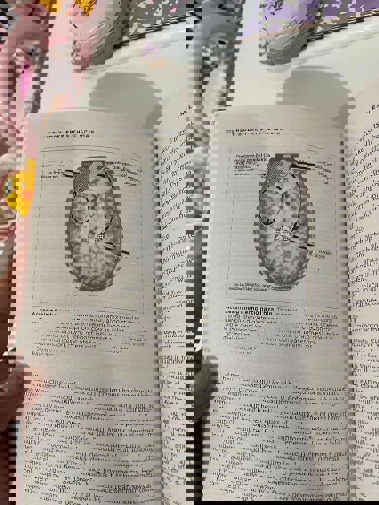 1265272
