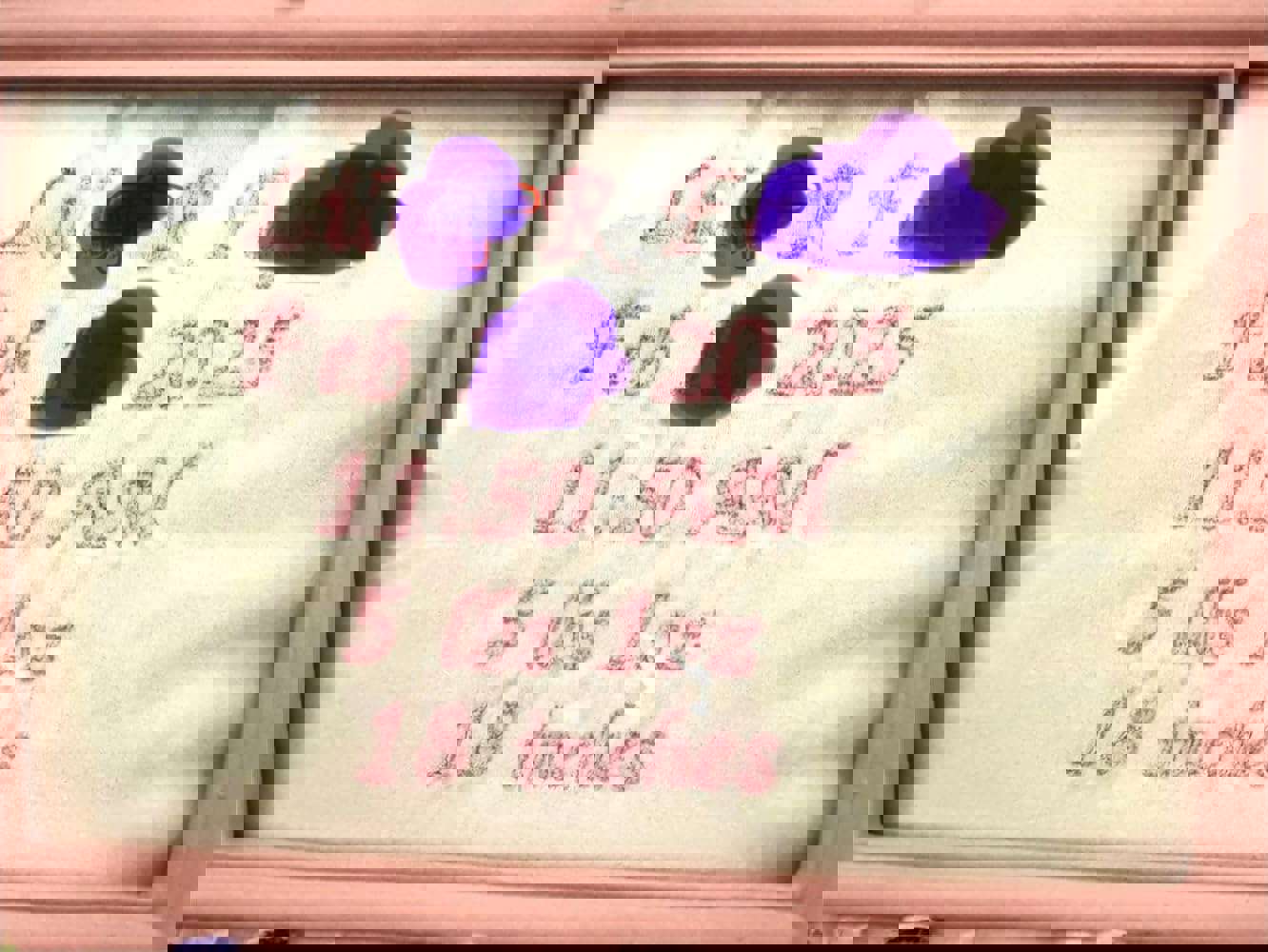 1260169