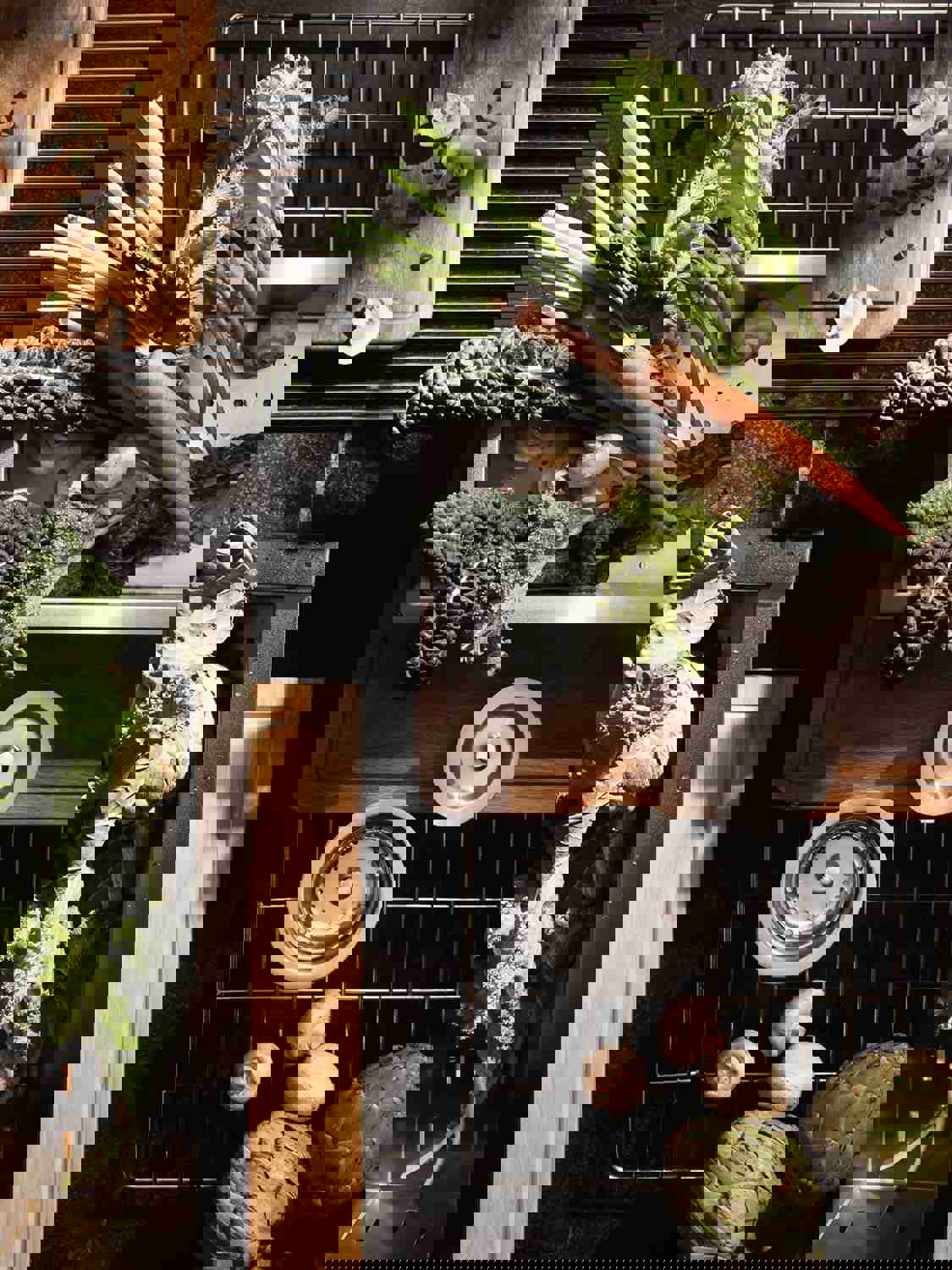 1259921