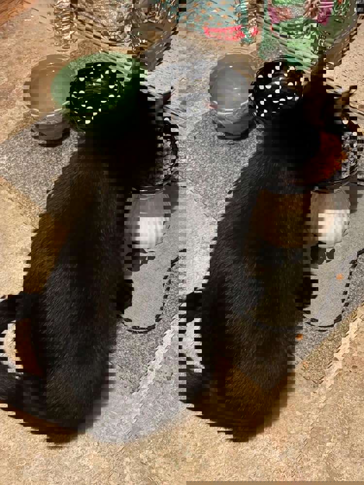 1265411