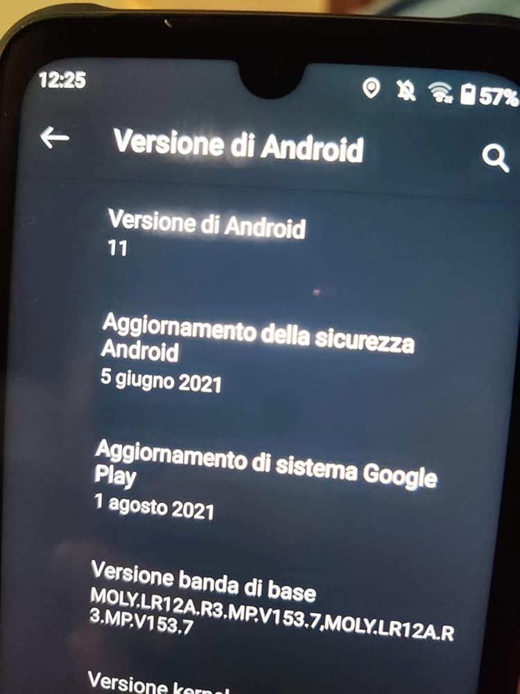 1265262